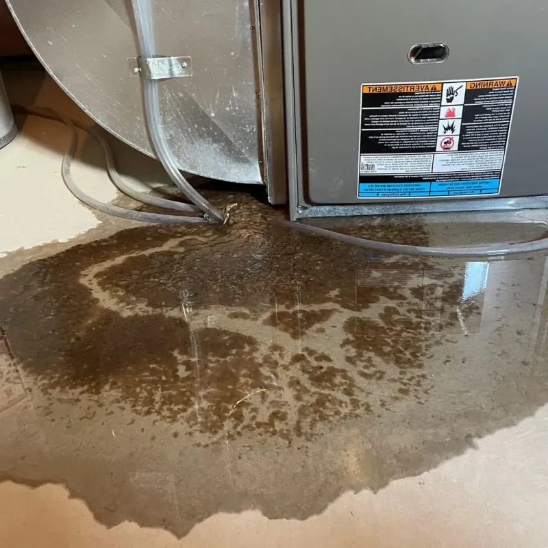 Pipe Burst and Leak Restoration in York County, ME